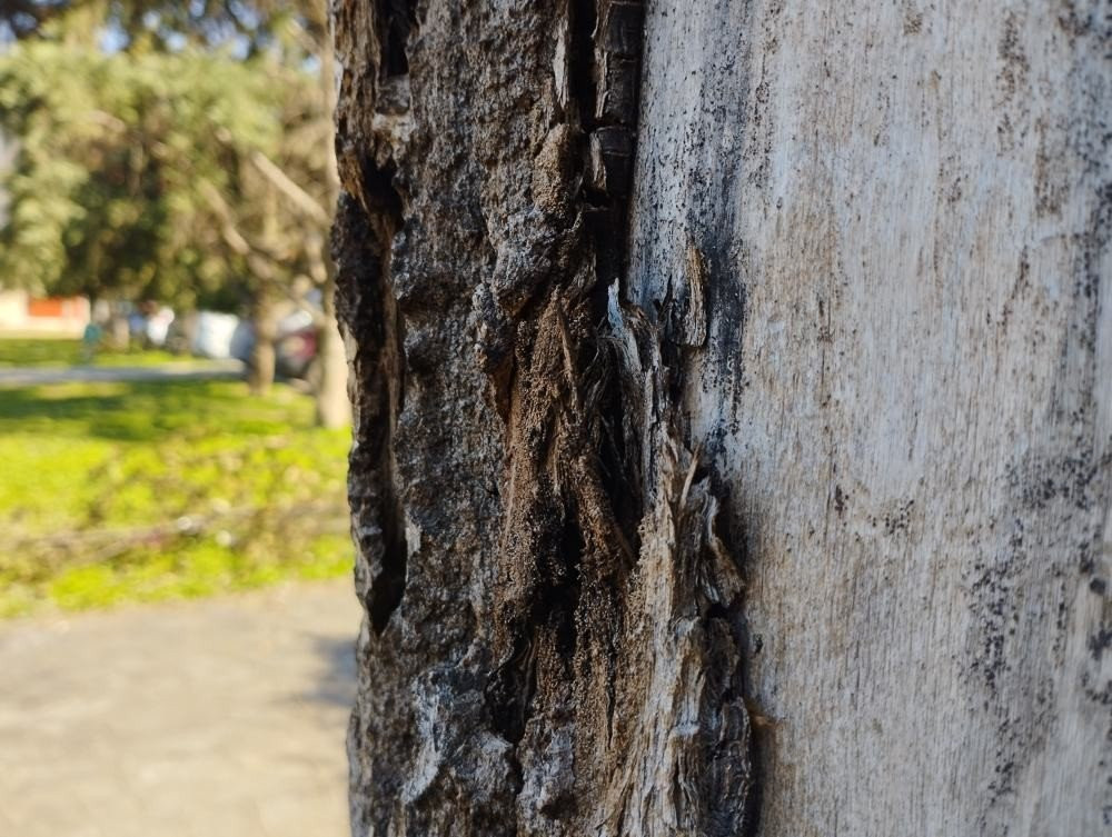 Redmi Note 11 Review: Μια τίμια entry-level επιλογή Redmi Note 11 Review: Μια τίμια entry-level επιλογή