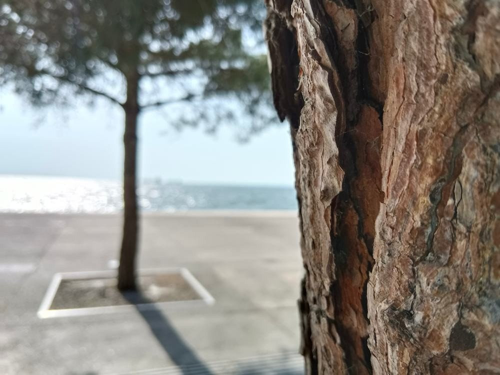 vivo Y76 5G Review: Μια νέα πρόταση στη mid-range κατηγορία vivo Y76 5G Review: Μια νέα πρόταση στη mid-range κατηγορία