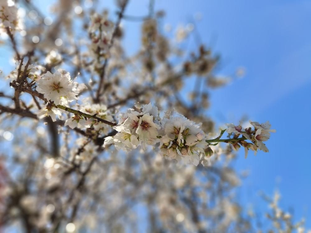 Xiaomi 12 Review: Μια ναυαρχίδα για όσους θέλουν μικρό μέγεθος Xiaomi 12 Review: Μια ναυαρχίδα για όσους θέλουν μικρό μέγεθος