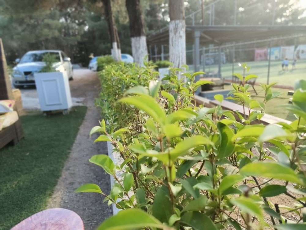 realme GT Neo 3 Review: Τρομερή οθόνη, υψηλές επιδόσεις και φόρτιση 150W! realme GT Neo 3 Review: Τρομερή οθόνη, υψηλές επιδόσεις και φόρτιση 150W!