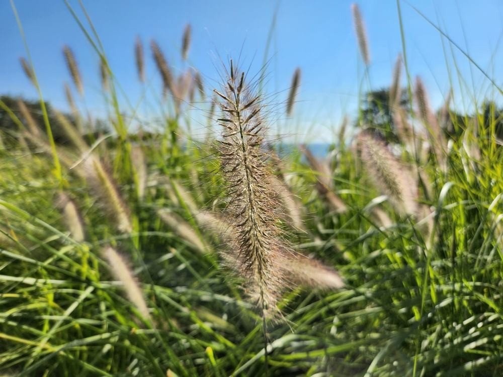 Samsung Galaxy Z Fold4 Review: Όλο και πιο κοντά στην ολοκλήρωση της ιδέας Samsung Galaxy Z Fold4 Review: Όλο και πιο κοντά στην ολοκλήρωση της ιδέας
