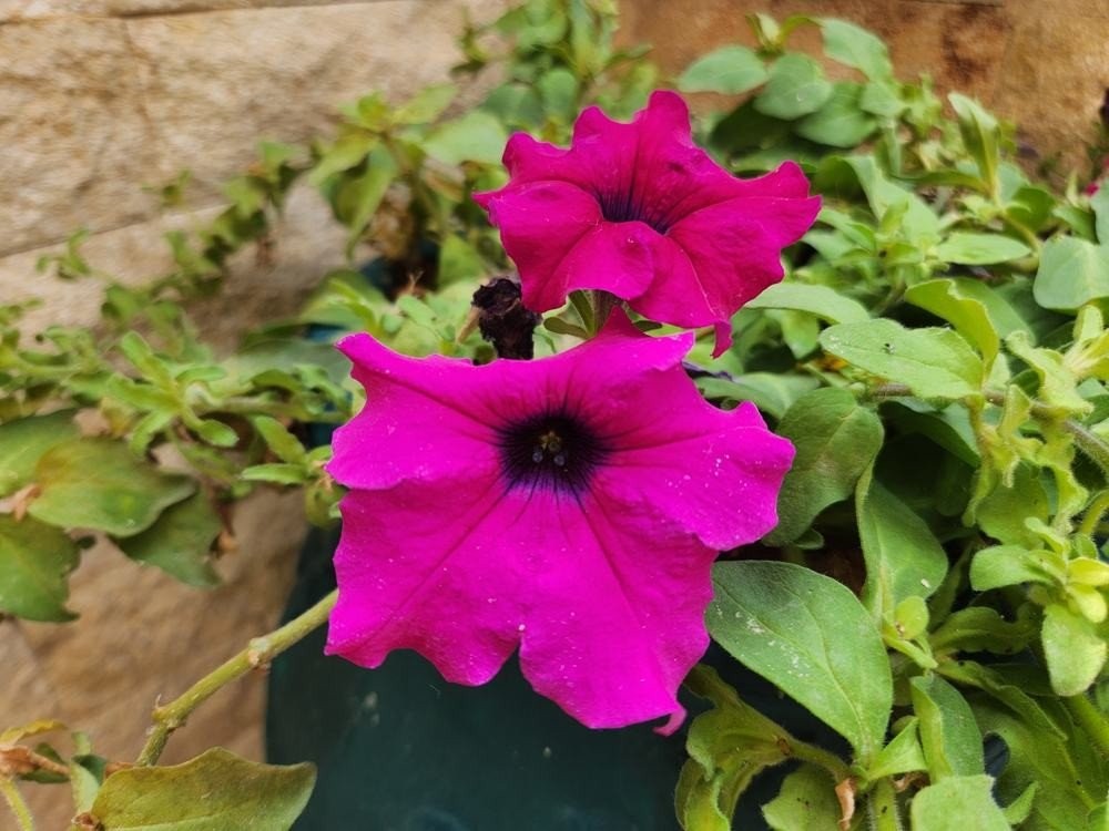 Samsung Galaxy Z Fold4 Review: Όλο και πιο κοντά στην ολοκλήρωση της ιδέας Samsung Galaxy Z Fold4 Review: Όλο και πιο κοντά στην ολοκλήρωση της ιδέας