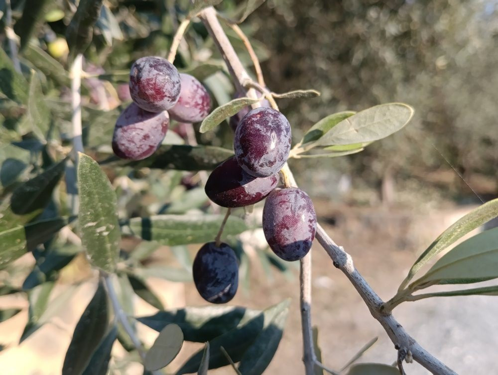 POCO M5 Review: Όμορφο, με τεράστια αυτονομία και πολύ προσιτή τιμή POCO M5 Review: Όμορφο, με τεράστια αυτονομία και πολύ προσιτή τιμή