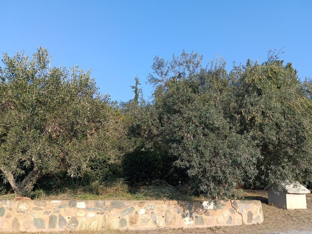 POCO M5 Review: Όμορφο, με τεράστια αυτονομία και πολύ προσιτή τιμή POCO M5 Review: Όμορφο, με τεράστια αυτονομία και πολύ προσιτή τιμή