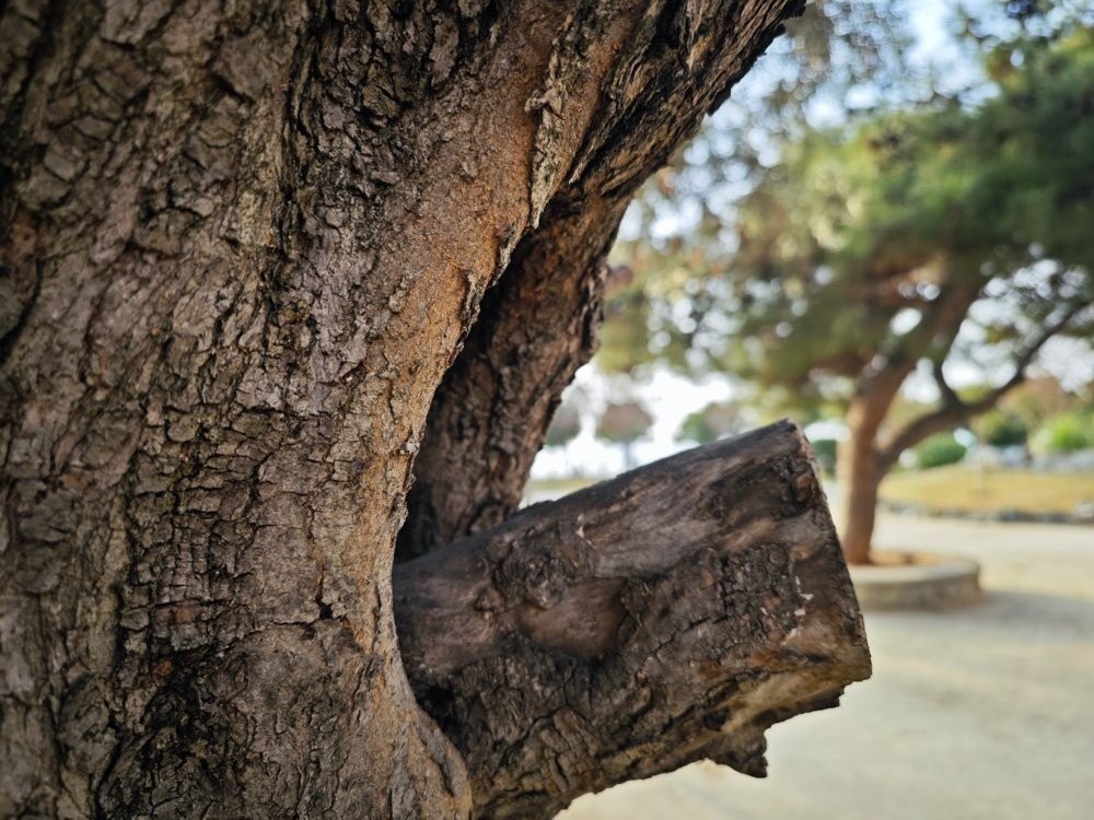 Xiaomi 13 Pro Review: Με σταθερά βήματα προς την κορυφή Xiaomi 13 Pro Review: Με σταθερά βήματα προς την κορυφή
